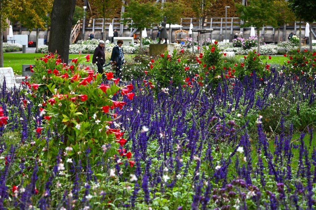 Im vergangenen Jahr fand die Landesgartenschau in Bad Dürrenberg statt. (Archivbild)