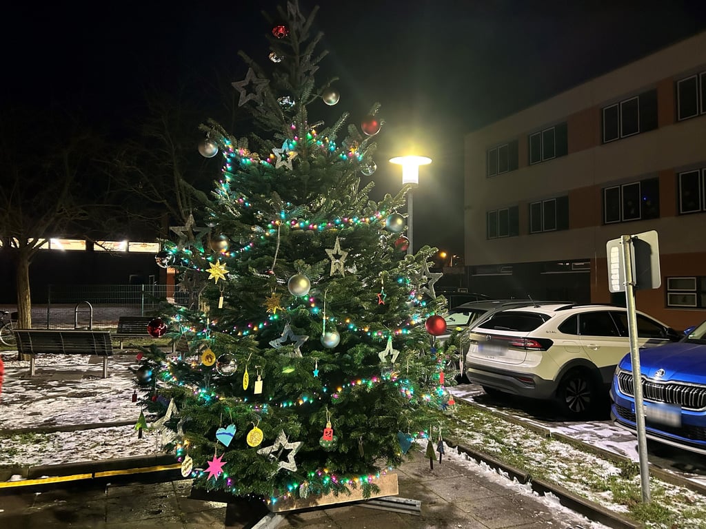 Dieser Wünschebaum steht im Dezember in Magdeburg-Olvenstedt an der Poststraße. 