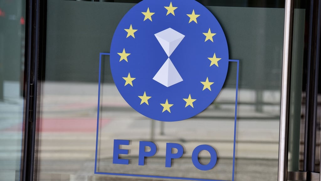 Die Europäischen Staatsanwaltschaft (EPPO) teilte mit, die Immunität mehrerer Verdächtiger sei vor den Durchsuchungen aufgehoben worden. (Symbolbild)