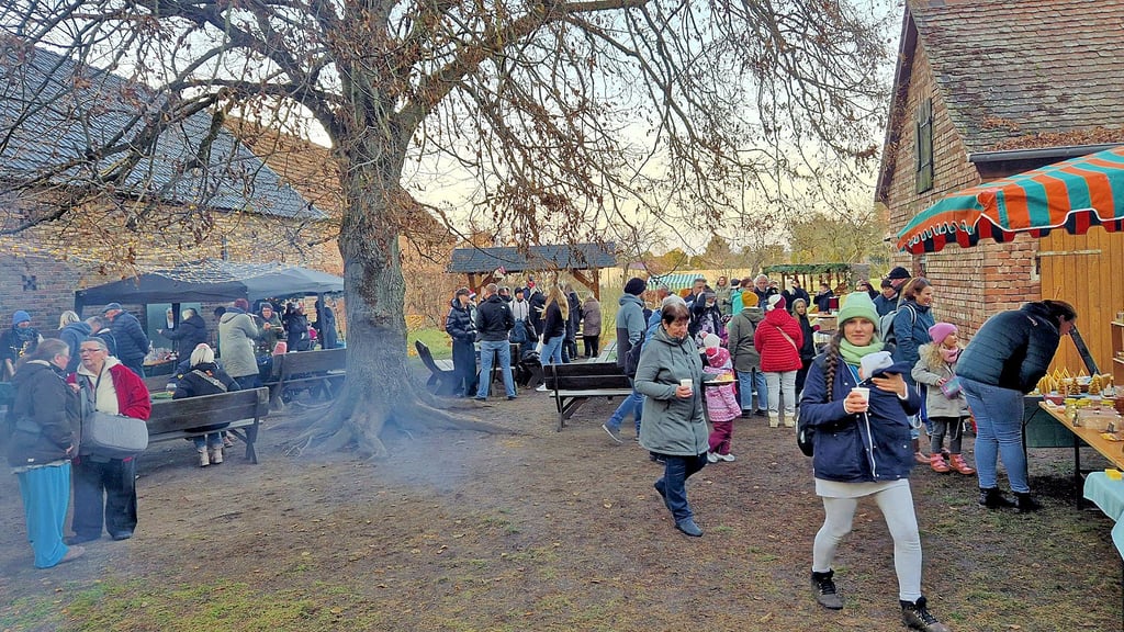 Unter der großen Linde im Hof der Evangelischen Grundschule Holzdorf waren die Stände des Weihnachtsmarktes aufgebaut.  Allerdings hatte der Baum jahreszeitbedingt sein Blätterdach schon abgeworfen. 
