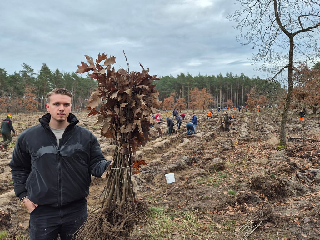 2.750 Roteichen wie diese sind im Stadtwald bei Gütter gepflanzt worden.