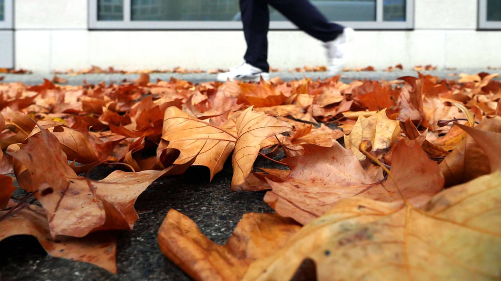 Gerade das Herbstlaub ist in den Ascherslebener Ortschaften in Sachen Straßenreinigung immer wieder eine Herausforderung.