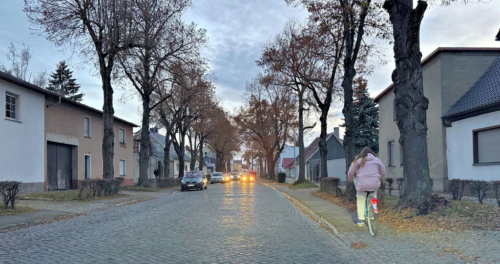 Die Schloßstraße soll auf beiden Seiten gepflasterte Radwege erhalten. Rund 1,5 Millionen Euro will die Stadt dafür ausgeben. 