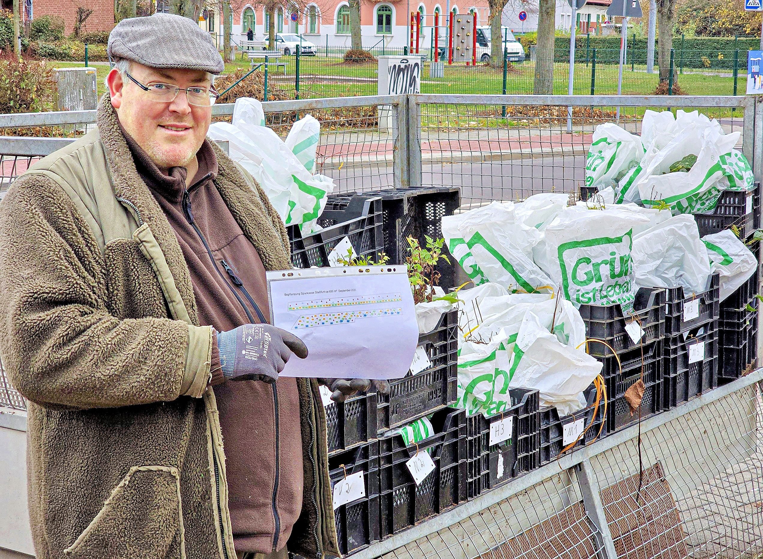 Klimaschutz: Staßfurts Innenstadt blüht im Frühjahr noch mehr auf