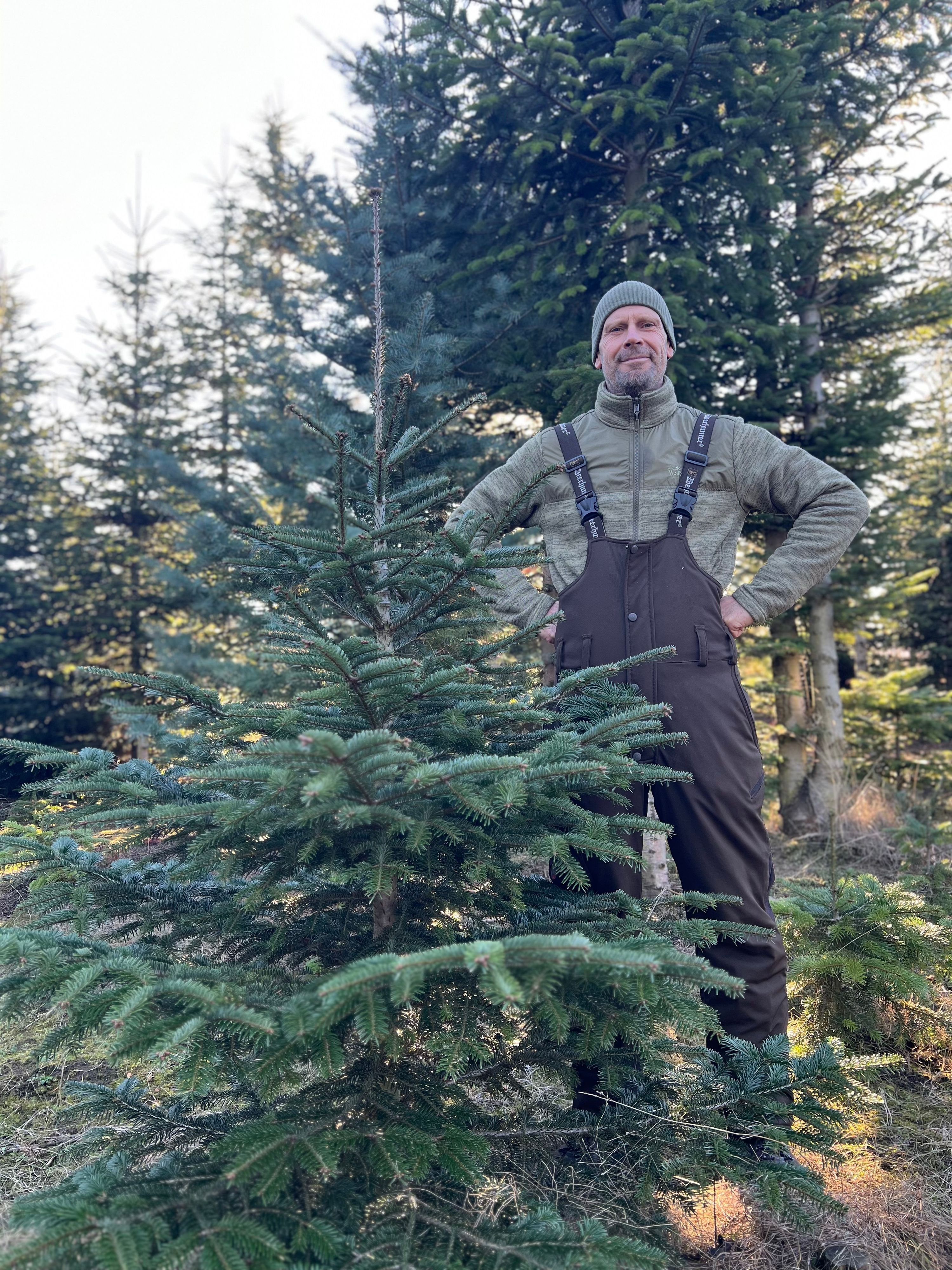 Weihnachtsbäume aus dem Harz: Auch dieses Jahr im Huy möglich: Weihnachtsbaum aussuchen und selbst schlagen