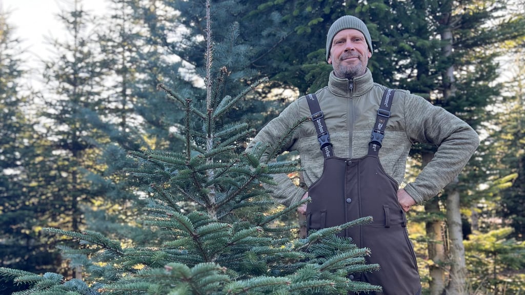 Frank Vogel inmitten seiner Weihnachtsbäume bei Anderbeck (Landkreis Harz).