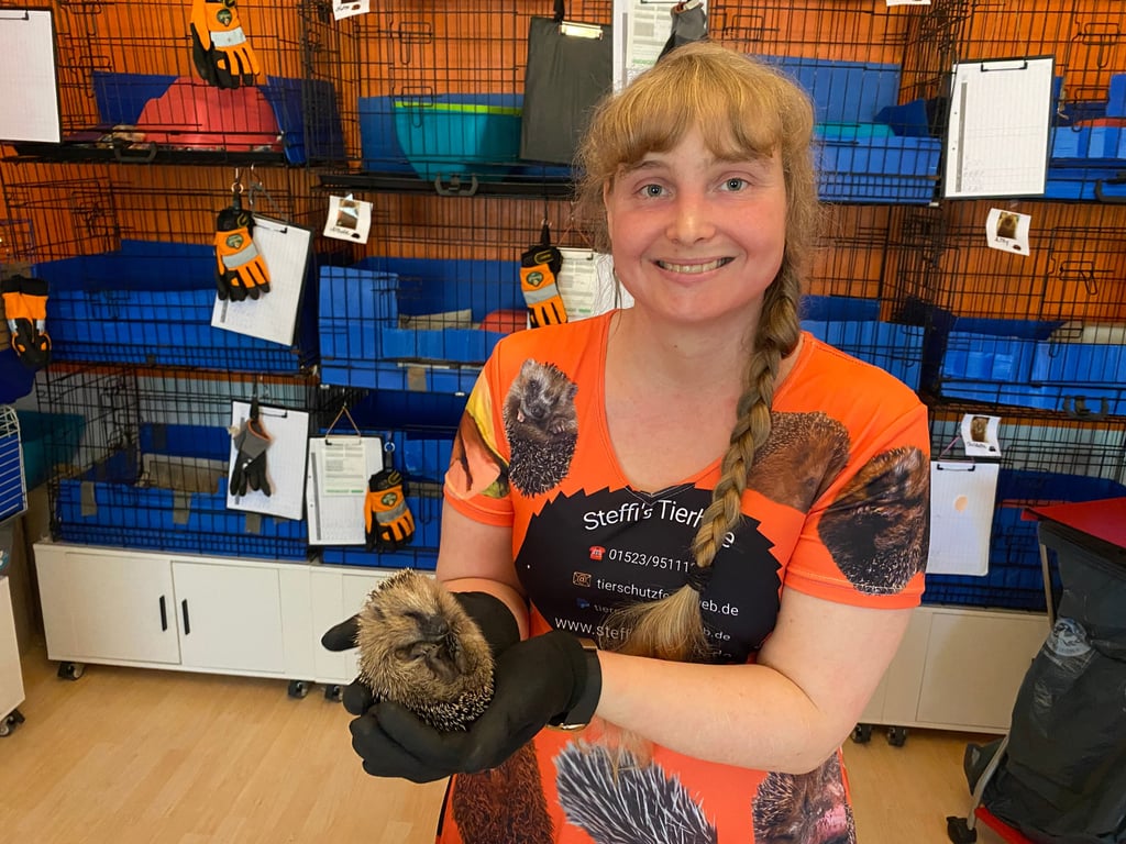 Igel-Lebensretterin Stefanie Jaksch peppelt die stachligen Wildtiere auf.