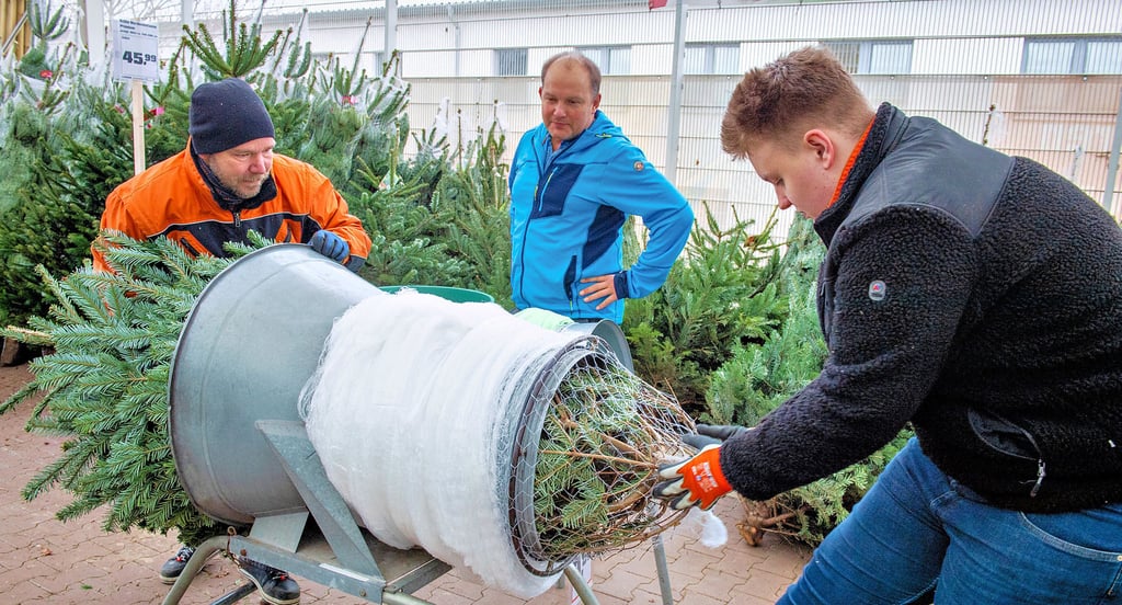 Der Verkauf im Obi Naumburg läuft schon eine ganze Weile. Kunde Frank Herzig hat sich für die mittlere Größe entschieden. 