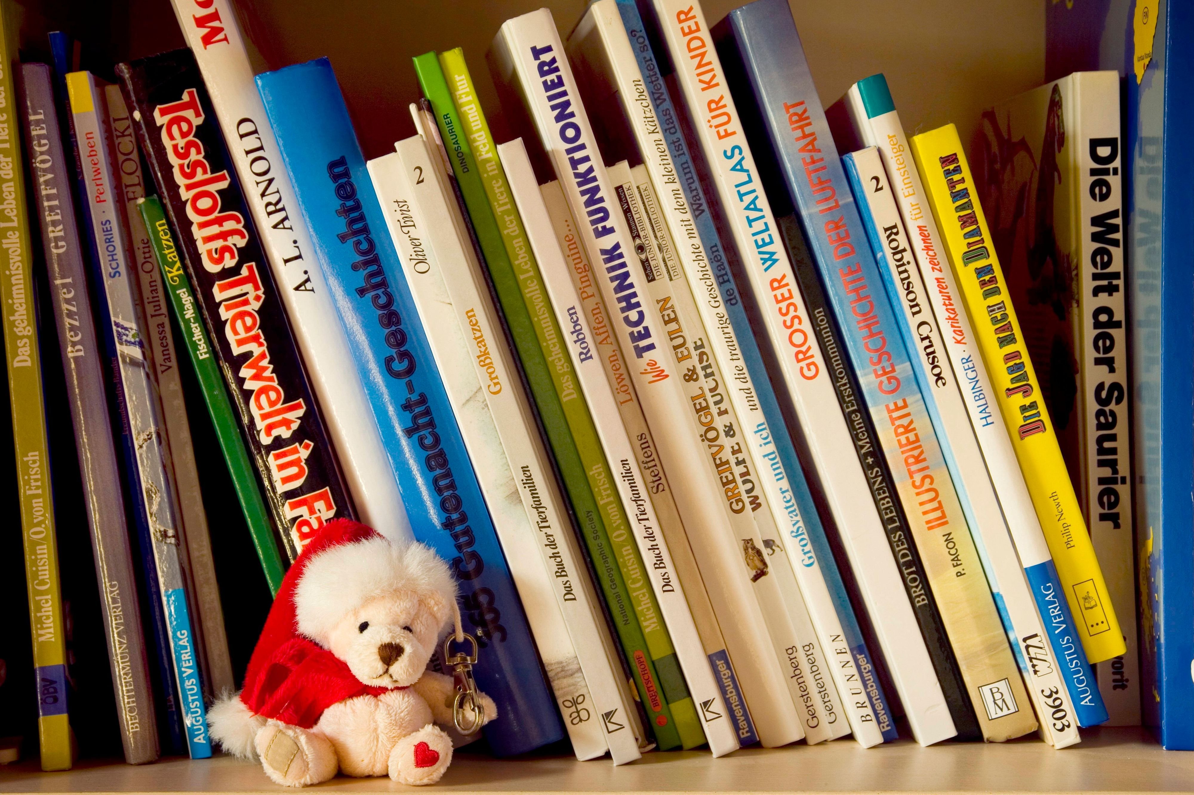 Veränderungen zum Jahreswechsel: Stadtibibliothek erhöht 2026 Nutzungsgebühren Lipmann-Bibliothek in Roßlau öffnet wieder länger