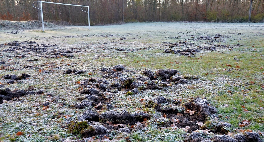 Tiefe Löcher im 16-Meter-Raum auf Seite der „Waldkurve“ des Rathmannsdorfer Sportplatzes.