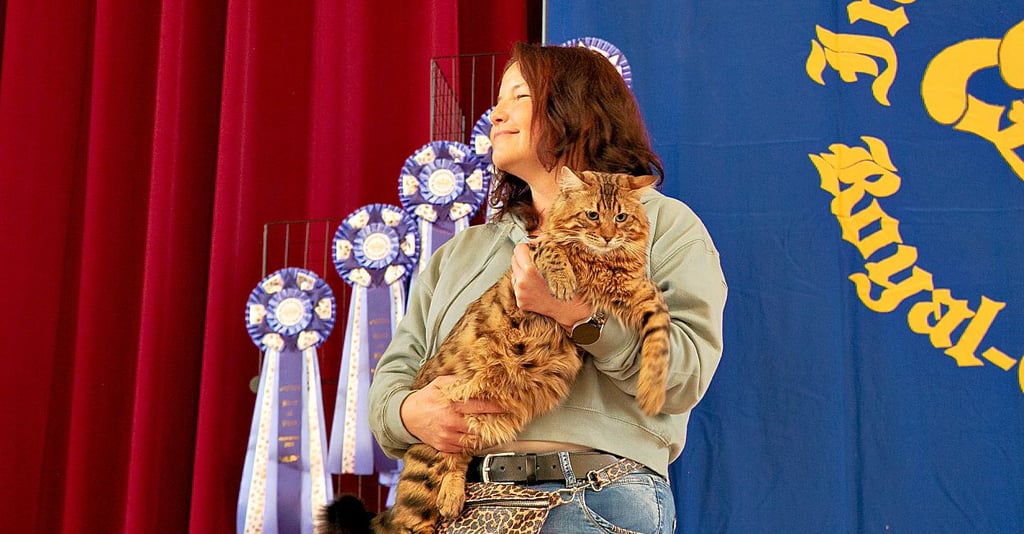 Im Mai gab es eine Katzenausstellung in Bitterfeld.