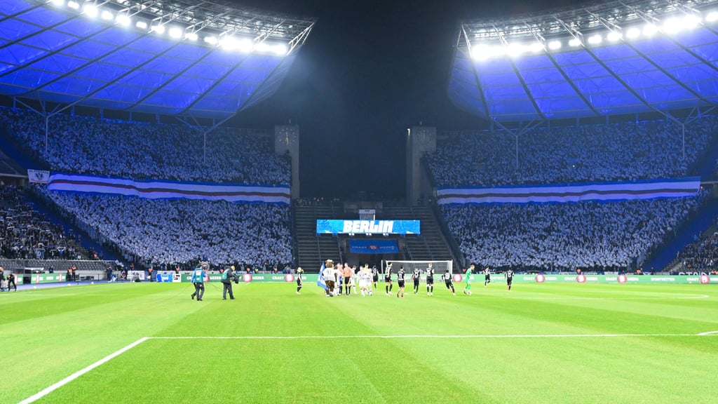 Im Februar 2024 zeigten die mitgereisten FCM-Fans im Berliner Olympiastadion eine Choreografie über mehrere Blöcke hinweg.