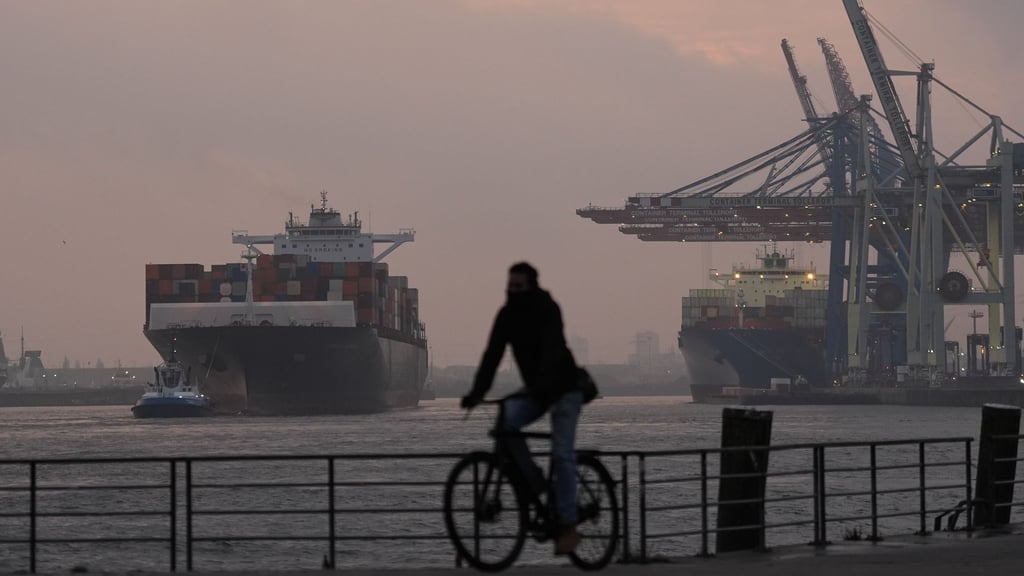 Ein Containerschiff wird zum Terminal Tollerort im Hamburger Hafen geschleppt. (Archivbild)