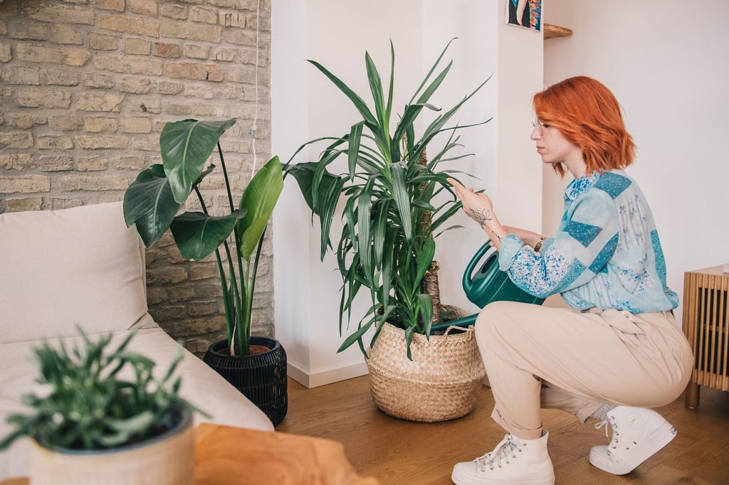 Wenn es draußen fröstelt, ist es Zeit, Zimmerpflanzen etwas mehr Aufmerksamkeit zu schenken.