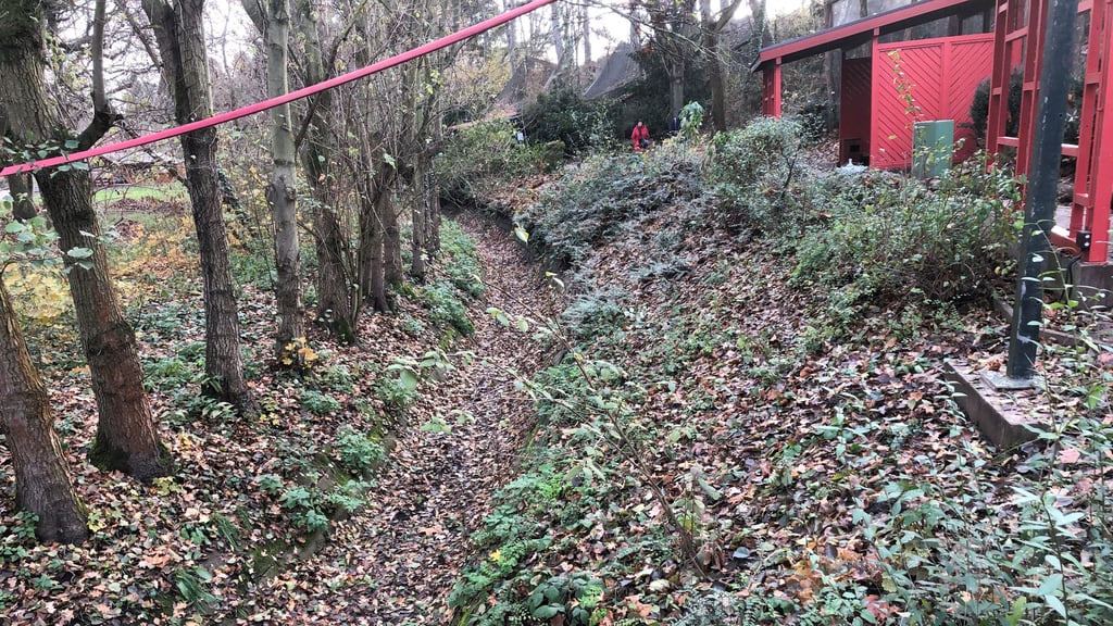 Unter dem Herbstlaub ist die (derzeit trockene) Schrote im Magdeburger Zoo kaum zu erkennen. Ihr gebauter Lauf könnte bald wieder natürlich werden.