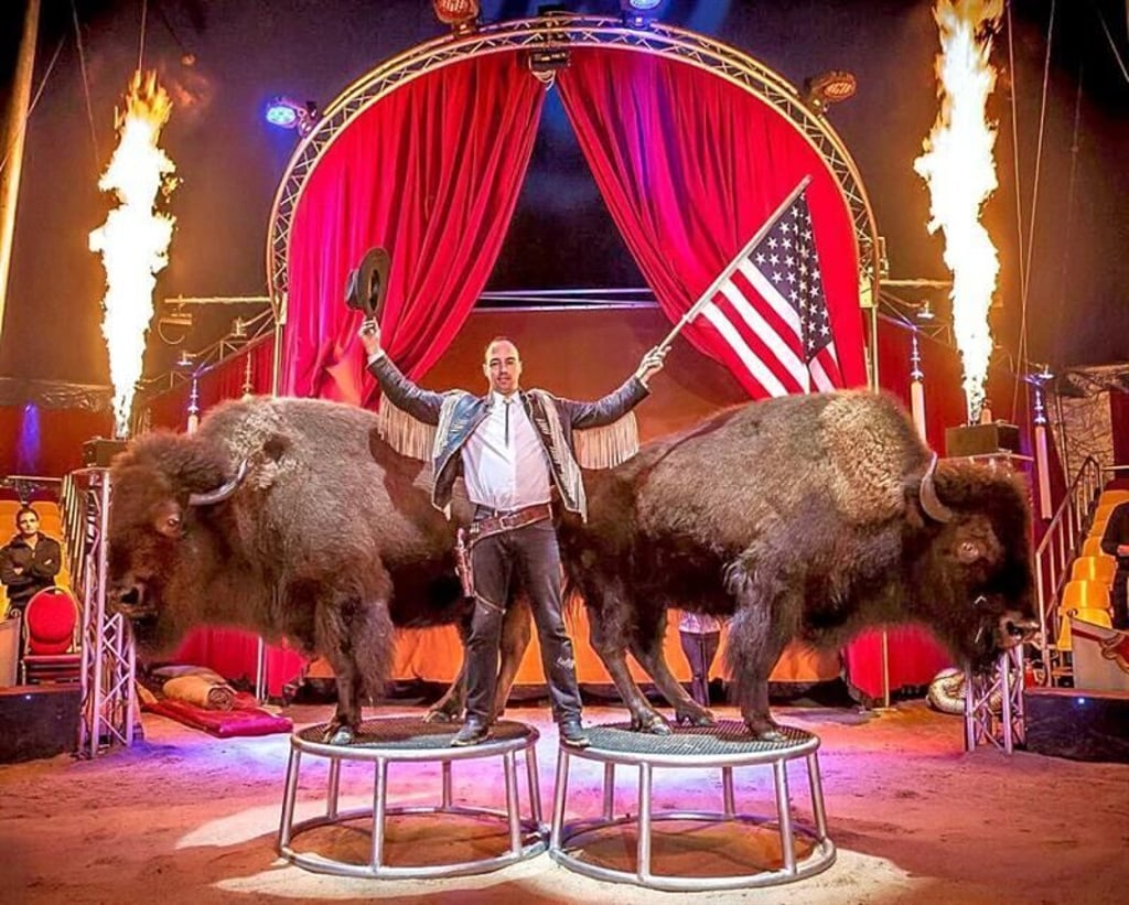 Marcel Krämer hat mit seinen Bisons eine Weltpremiere für Magdeburg vorbereitet.