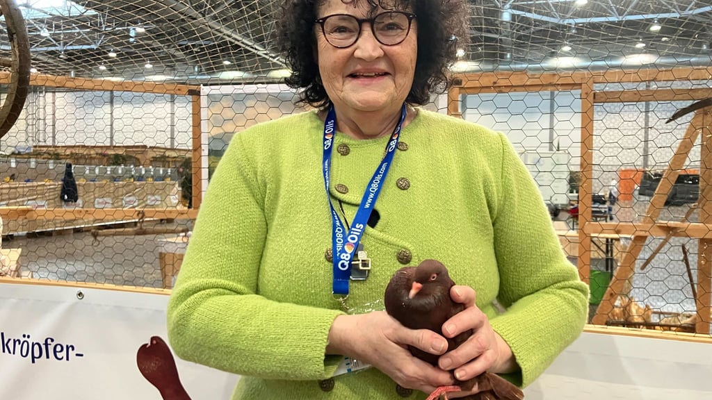 Die Vogelgrippe bremst die Lipsia-Bundesschau in Leipzig aus. In diesem Jahr sind ausschließlich Tauben zu sehen