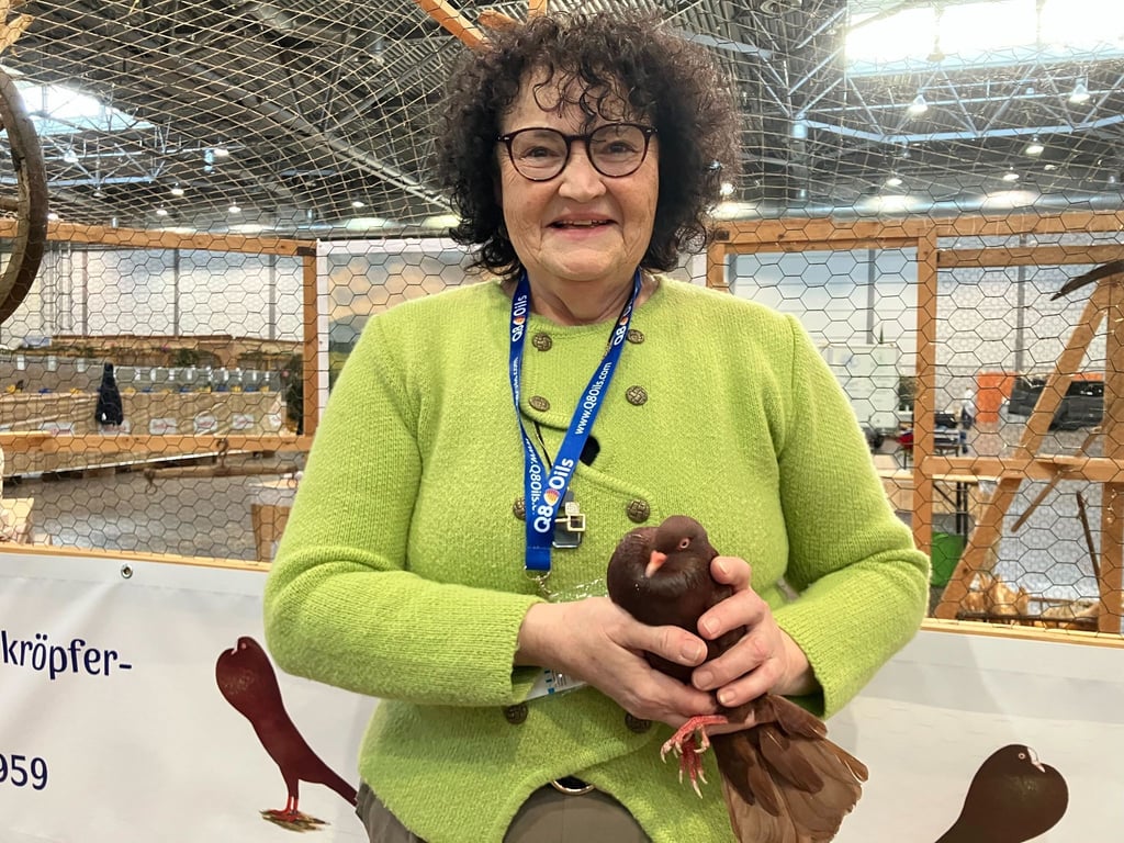 Die Vogelgrippe bremst die Lipsia-Bundesschau in Leipzig aus. In diesem Jahr sind ausschließlich Tauben zu sehen