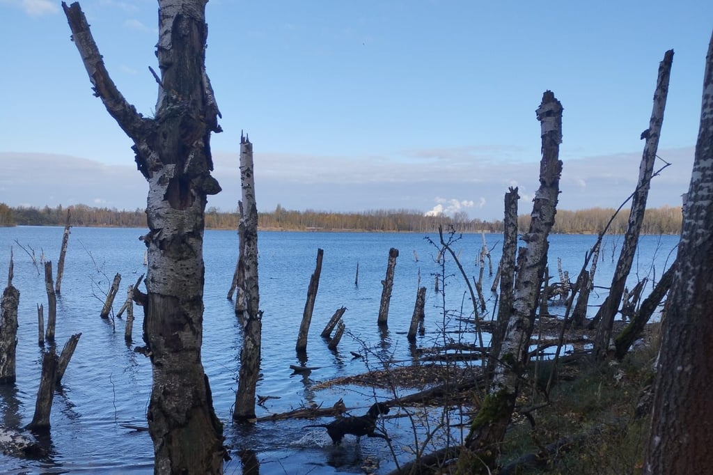 Das Tagebaurestloch Zipsendorf Süd bei Zeitz war Grund des juristischen Streits.