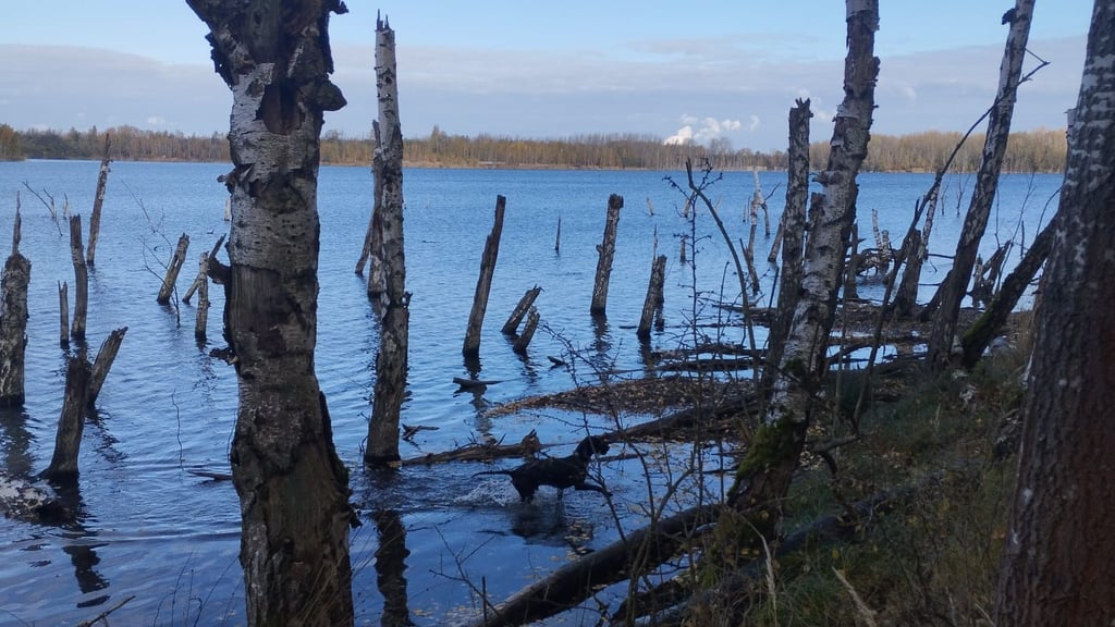 Das Tagebaurestloch Zipsendorf Süd bei Zeitz war Grund des juristischen Streits. Tagesbau-Sanierer LMBV wollte nicht mehr für den Unterhalt zahlen und hat deswegen geklagt.&nbsp;
