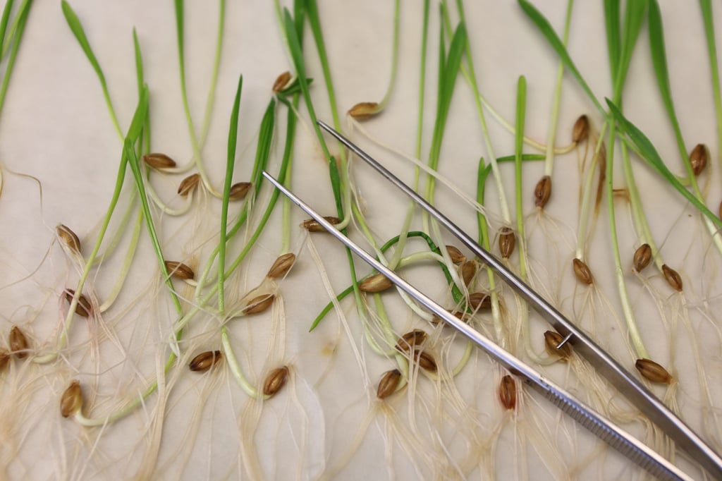 Die neuen Vorgaben müssen noch vom EU-Parlament und den EU-Staaten bestätigt werden. Normalerweise ist das Formsache, wenn sich die Unterhändler der Institutionen zuvor auf einen Kompromiss geeinigt haben.(Archivbild)