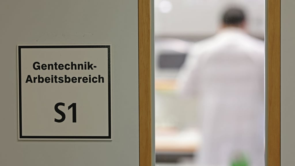 Befürworter erhoffen sich Obst- und Gemüsesorten, die ertragreicher, resistenter gegen den Klimawandel und nährstoffreicher sind.