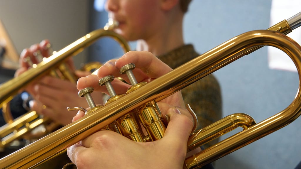 An der Kreismusikschule Harz lernten zum Jahreswechsel 2024/25 knapp 900 Schüler.