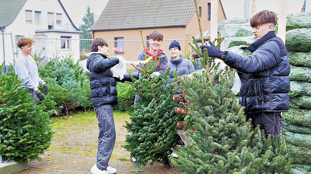 Arthur, Zubaidullah, Matthis, Ben und Emil von der B-Jugend des Post SV Stendal helfen beim Aufbau des Weihnachtsbaumstandes an der Heerener Straße bei Würth. Aus dem Verkaufserlös fließt Geld in die Mannschaftskasse.