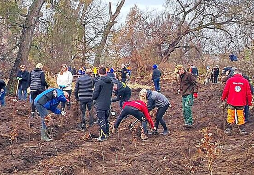 Viele Helfer kamen zur Pflanzaktion nach Aken. 