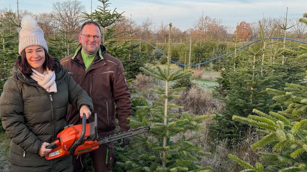 Auf der Weihnachtsbaumplantage in Calenberge kann man seine Tanne selbst schlagen. Für Reporterin Sabine Lindenau war es eine Premiere. Fachmann Denis Hesse unterstützte sie.