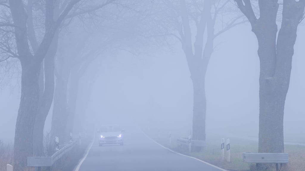 Wetter in Sachsen-Anhalt: Nebel und Regen bestimmt die Witterung am Wochenende. Die Temperaturen rutschen nur in der Nacht ins Minus.