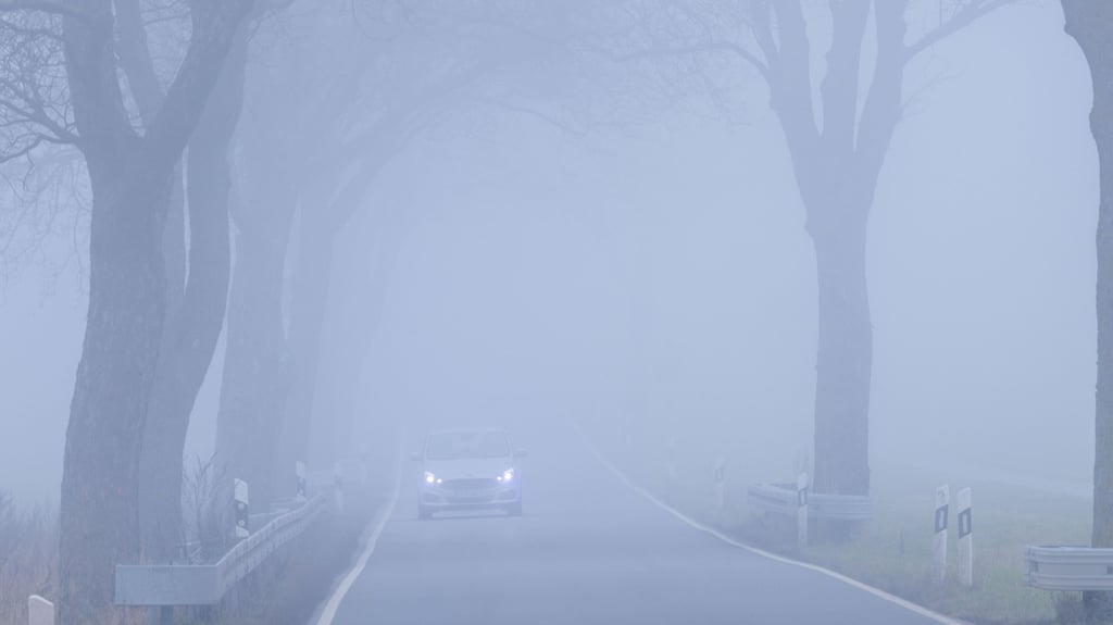 Wetter in Sachsen-Anhalt: Nebel und Regen bestimmt die Witterung am Wochenende. Die Temperaturen rutschen nur in der Nacht ins Minus.