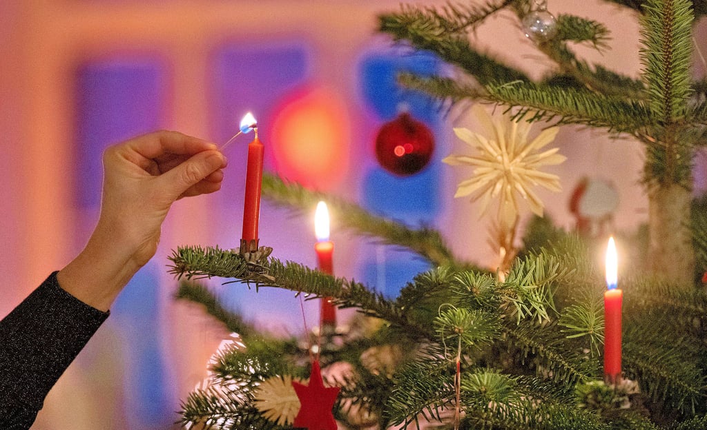 Zu Weihnachten gehört ein Tannenbaum einfach dazu.