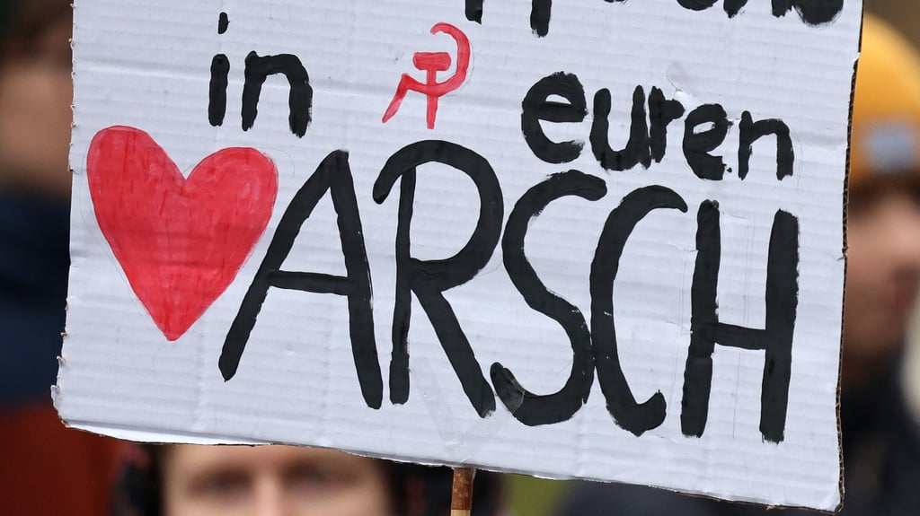 Bundesweit gab es Proteste gegen die Wehrdienst-Pläne der Regierung - auch in Sachsen-Anhalt.