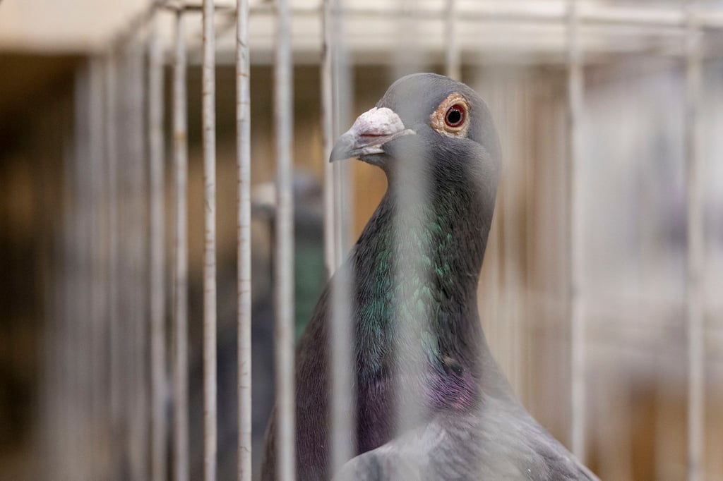 Hatte der Dieb keine Lust mehr, Porto zu zahlen? (Symbolbild)