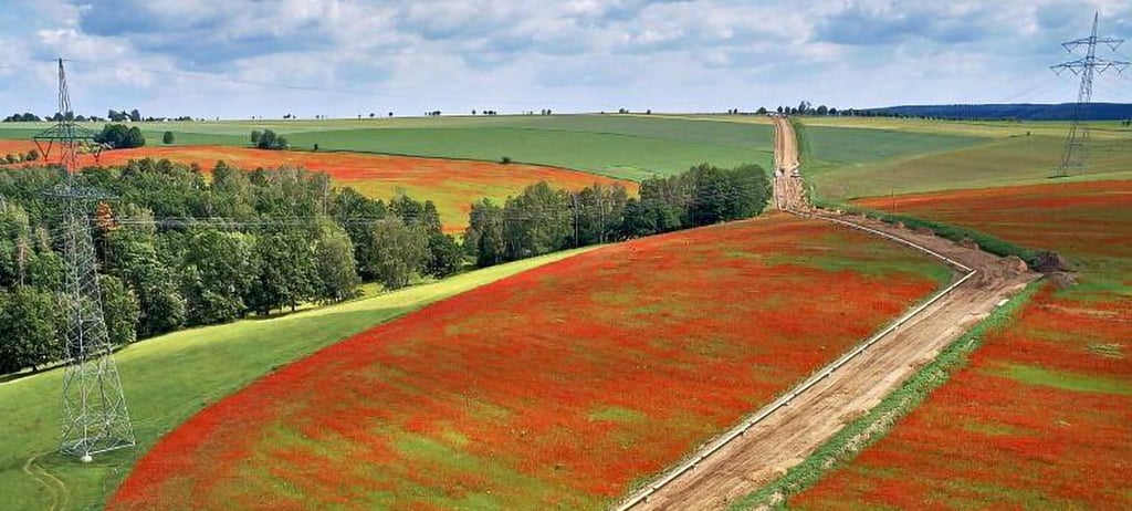 Wie auf diesem Archivfoto zwischen Halle und Preußlitz  bei Bernburg, wo das  Unternehmen Ontras eine Wasserstoffleitung gebaut hat, soll auch durch den Osten des Burgenlandkreises einmal eine Pipeline verlegt werden.