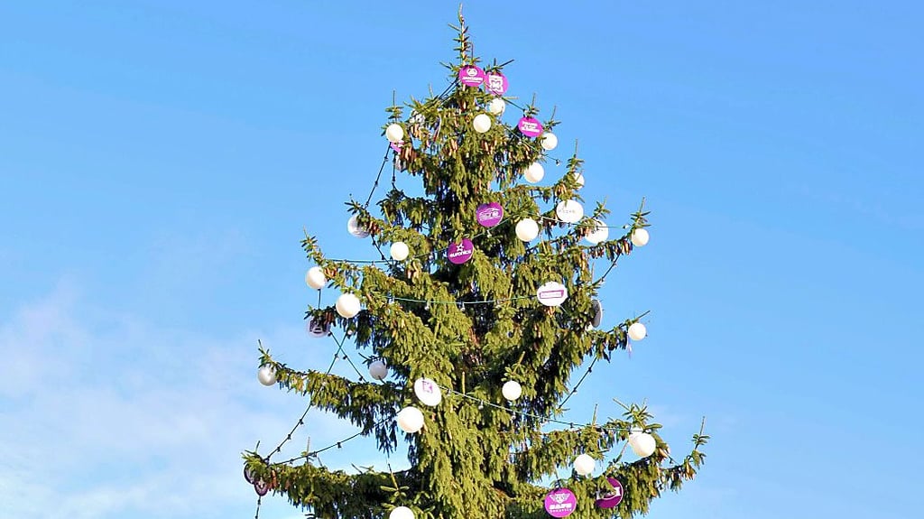 Der Weihnachtsbaum auf dem Köthener Marktplatz. 