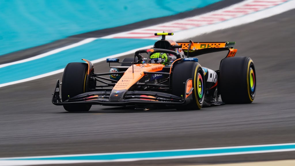 Wenn es drauf ankommt, soll Norris auf die Hilfe seines Teamkollegen bauen.