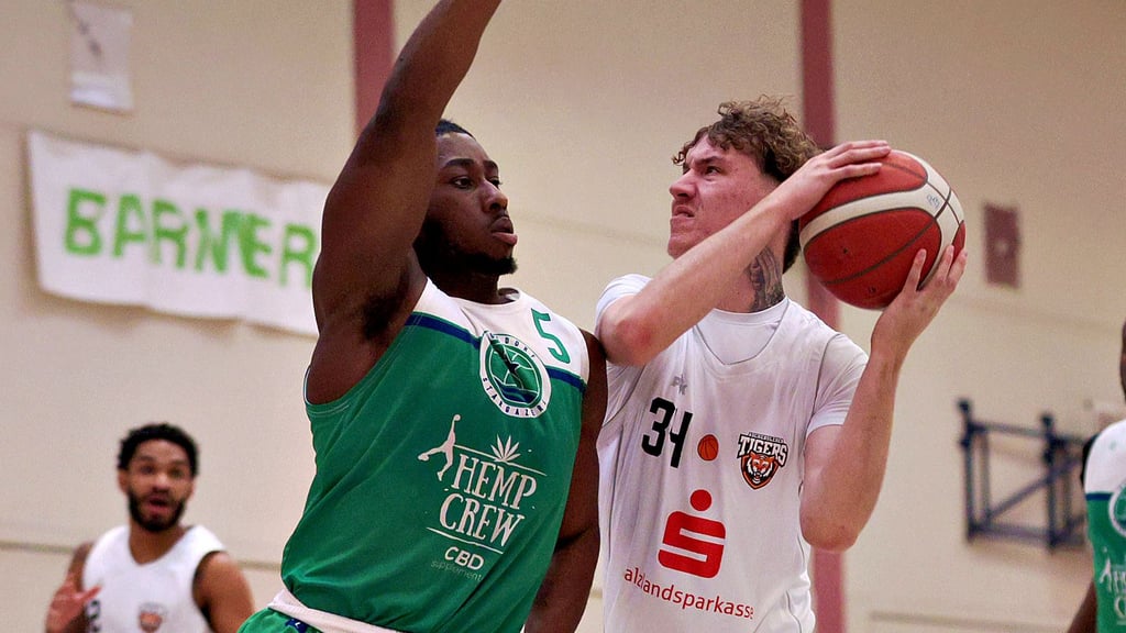 Die Tigers aus Aschersleben, hier mit Yannick von Hain (am Ball), wollen gegen die Eisbären aus Bremerhaven punkten. 