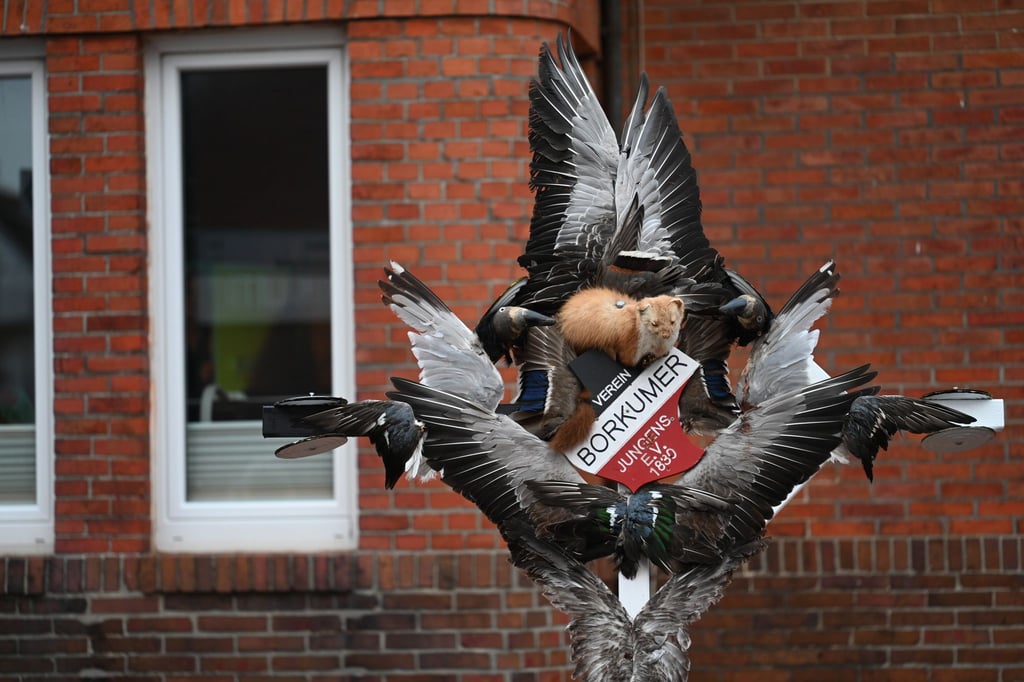 Das Klaasohm-Fest auf Borkum gehört zu den seit vielen Generationen gepflegten Traditionen auf der Insel.