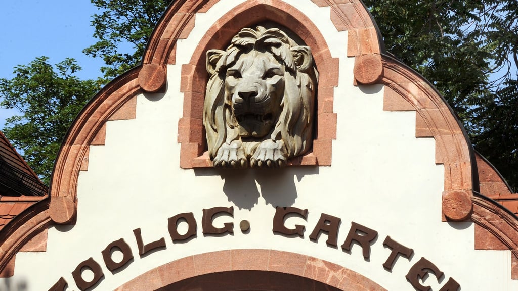 Nach einem Vogelgrippe-Verdachtsfall hat der Zoo Leipzig einige Teilbereiche gesperrt. (Symbolbild)