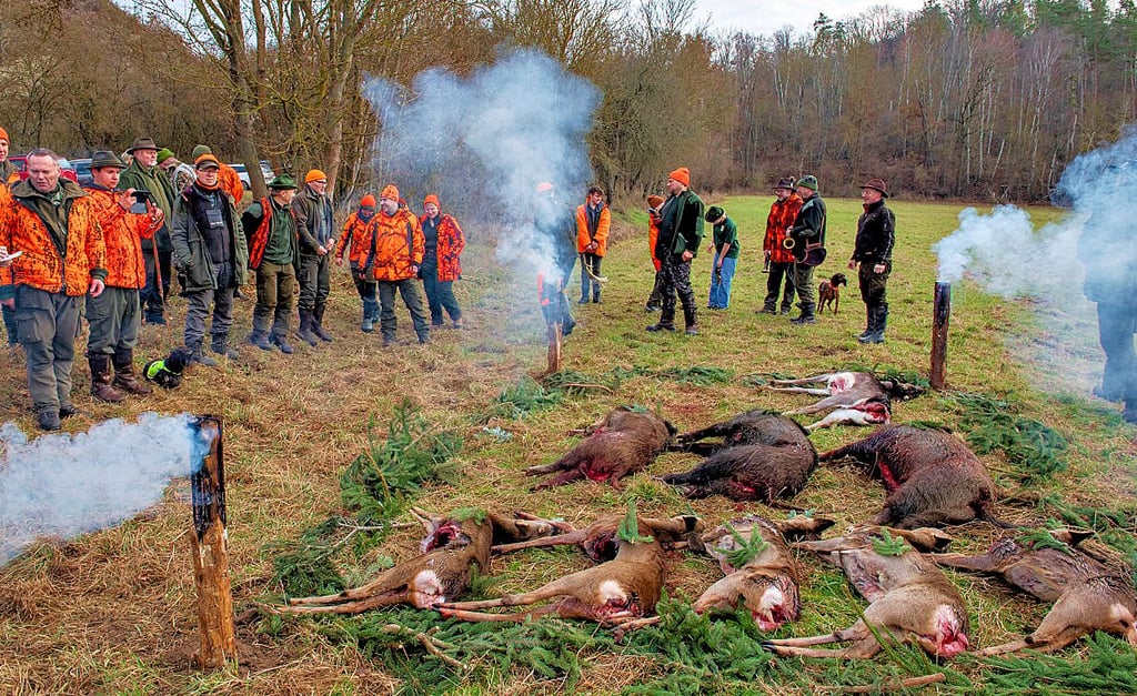 Ende einer vierstündigen Drückjagd im Jagdrevier Größnitz-Städten; die Strecke der Wildtiere ist gelegt.