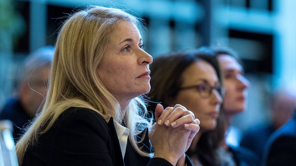 Palla will die Verzögerungen bei Stuttgart 21 untersuchen lassen.