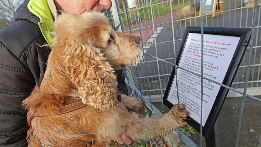Der erstmals geplante Hunde-Weihnachtsmarkt am Neustädter See ist kurzfristig abgesagt worden