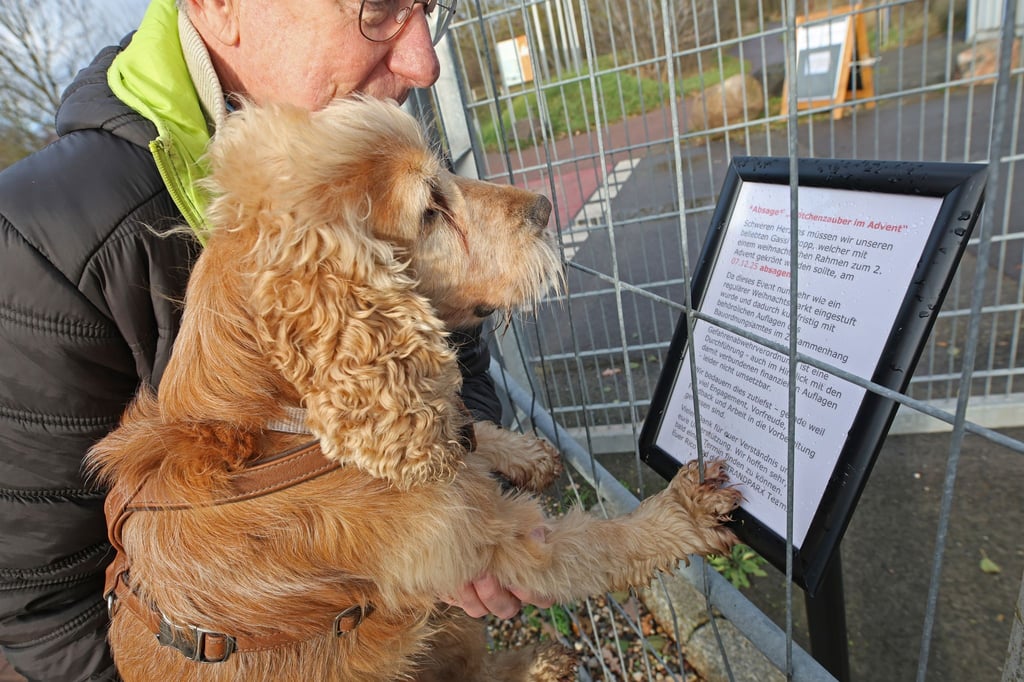 Der erstmals geplante Hunde-Weihnachtsmarkt am Neustädter See ist kurzfristig abgesagt worden