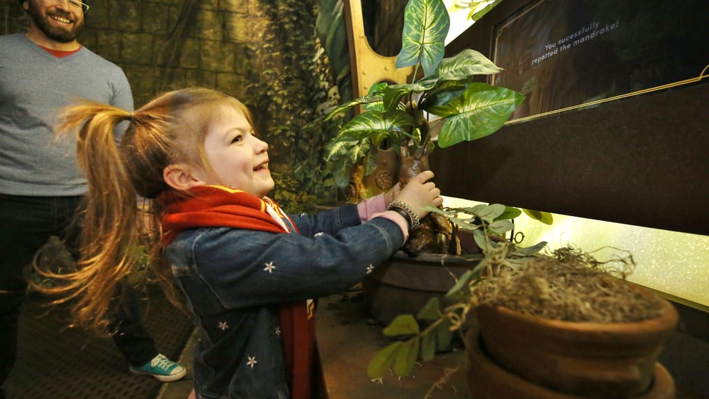 In der neuen Harry-Potter-Ausstellung können Kids alle möglichen Requisiten testen.