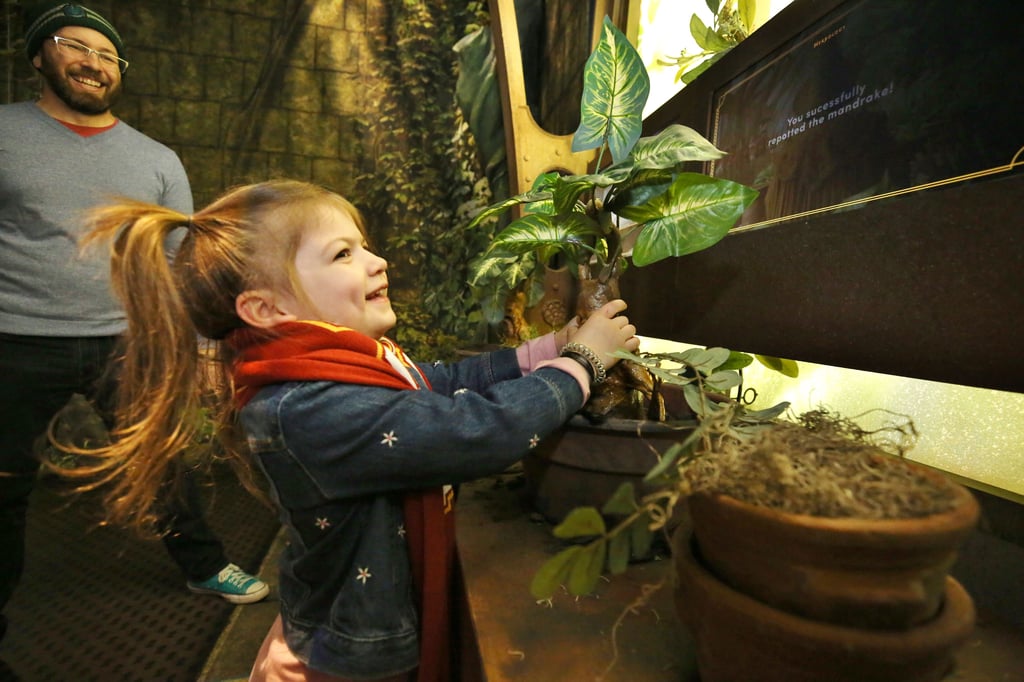 In der neuen Harry-Potter-Ausstellung können Kids alle möglichen Requisiten testen.