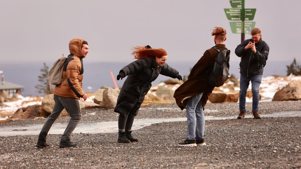 Regen, Wolken und milde Temperaturen prägen den Wochenstart in Sachsen-Anhalt. Im Harz wird es windig.