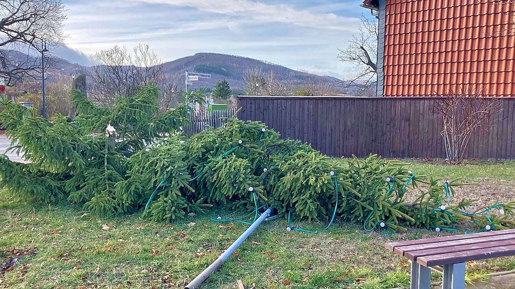 Dieser Weihnachtsbaum am Ortseingang von Darlingerode ist in der Nacht zum Sonntag von Unbekannten abgeschlagen worden.  