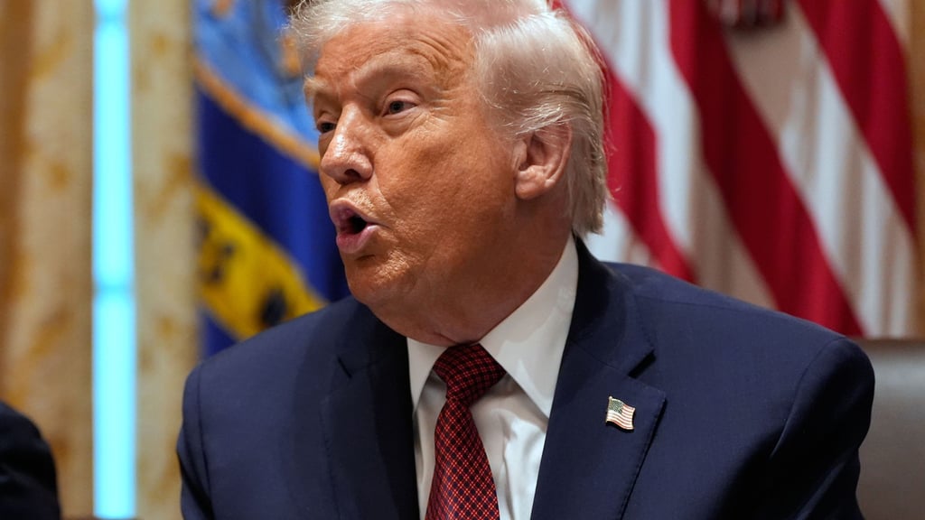 Europa müsse bei vielen Dingen sehr vorsichtig sein, sagte Trump - allerdings ohne Erklärung.